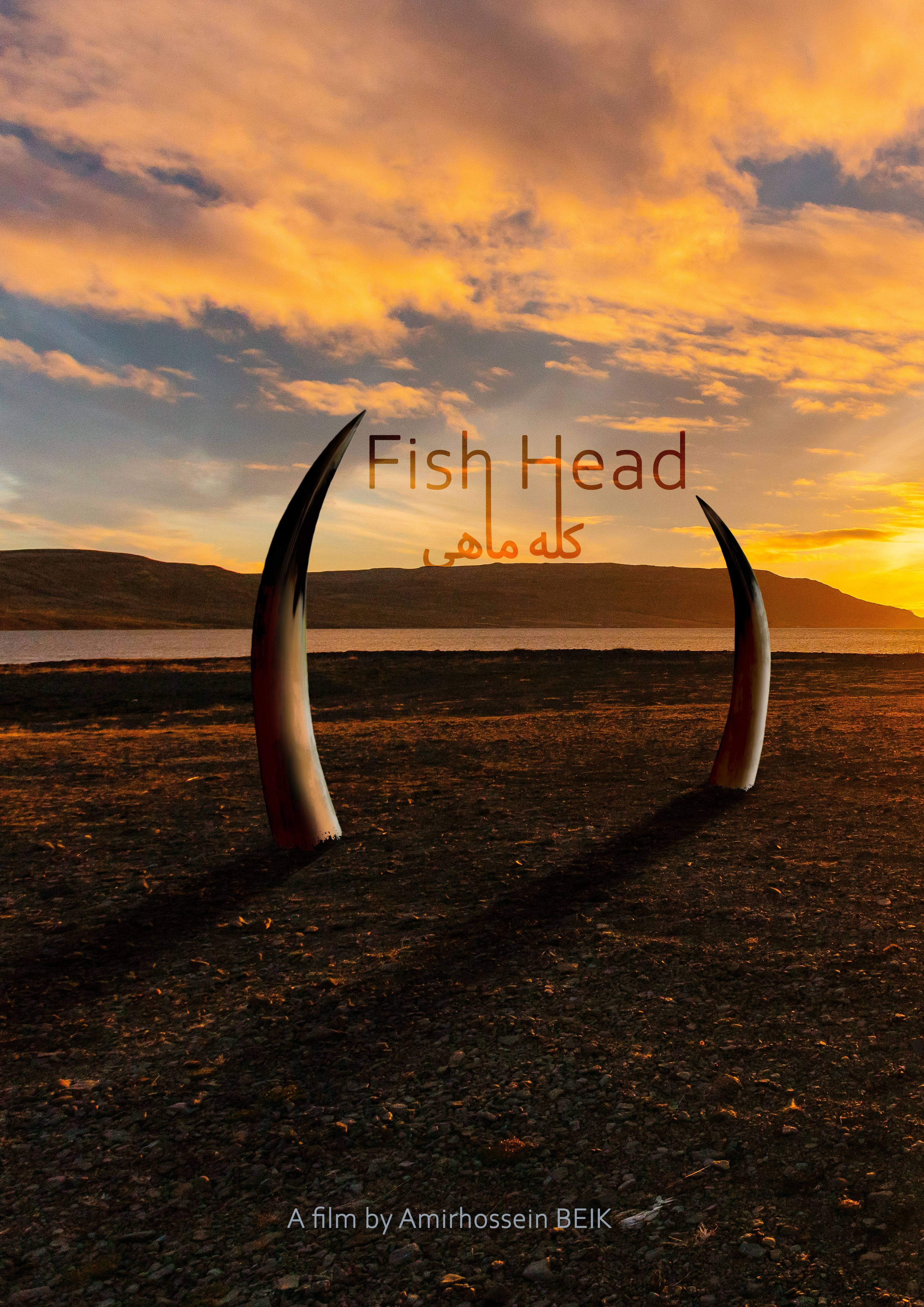 Fish Head